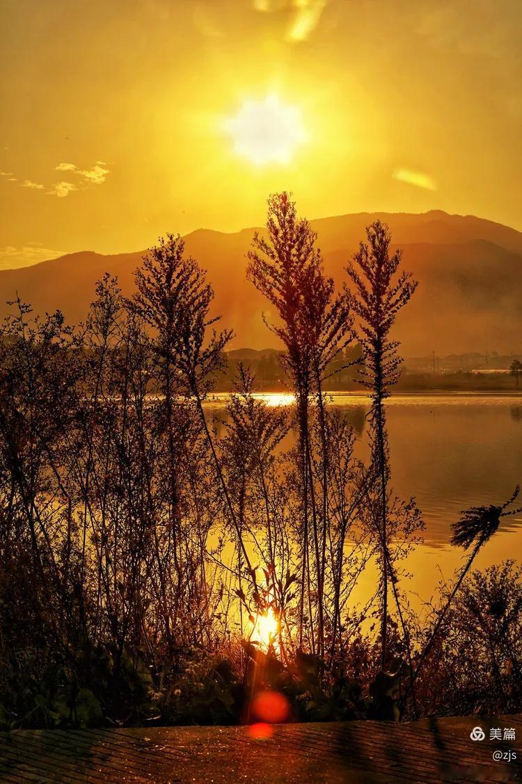 下联：秋光满目意踌躇。

（图片来自网络）