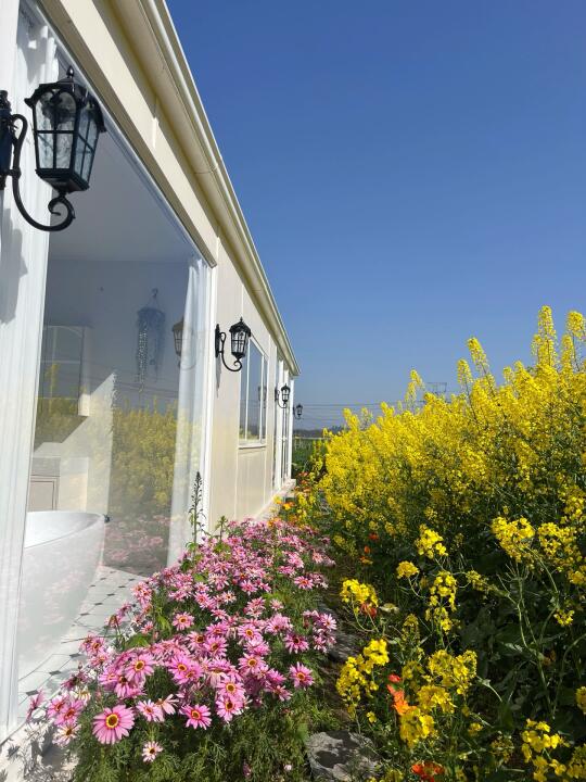 农村阳光房的高光时刻✨✨