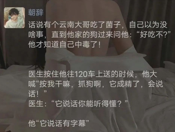 吃菌子闹出的笑话永不过时! ​​​