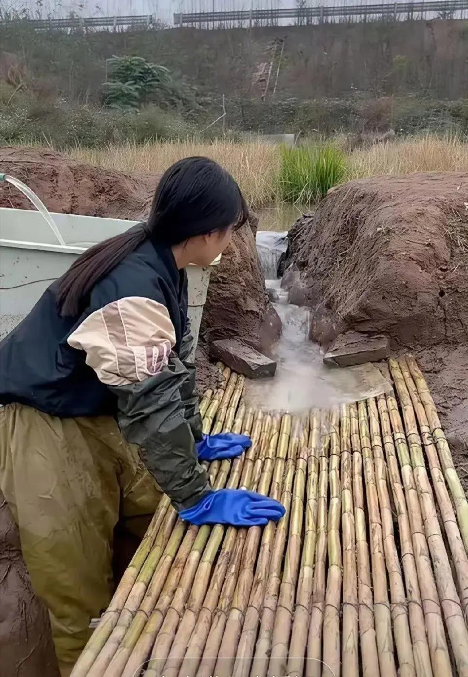 美女直播抓鱼，这招太绝了，轻松又高效！