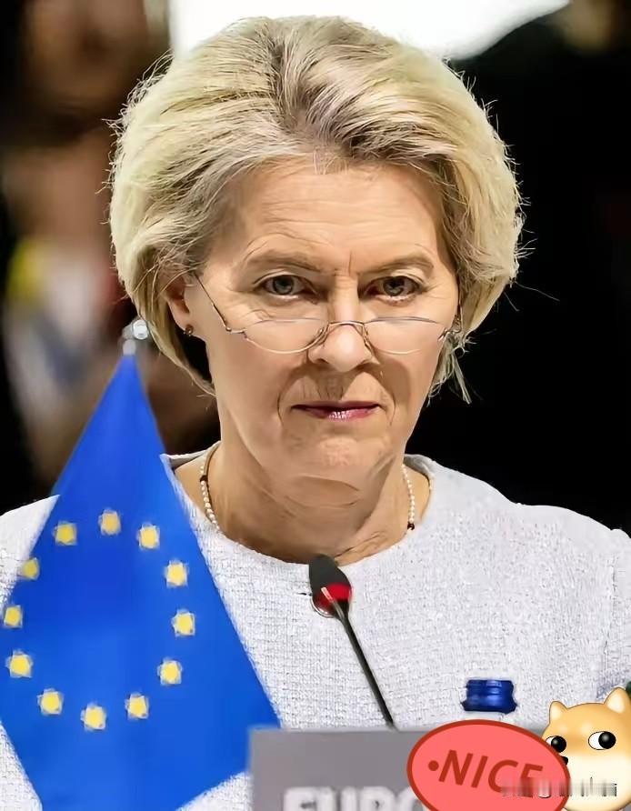 冯德莱恩此前针对中国电动车的关税主张未能落地，欧盟最终与中方达成协议！

据《联