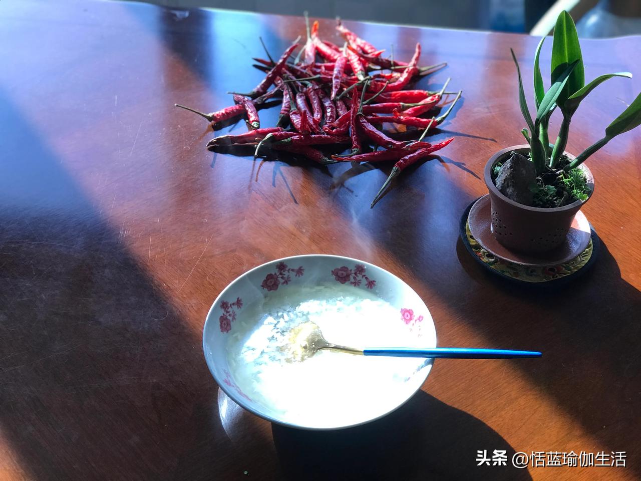 退休生活日常
今天的气温12度到9度，早上醒来有点寒意了，所以慵懒的状态产生，坐