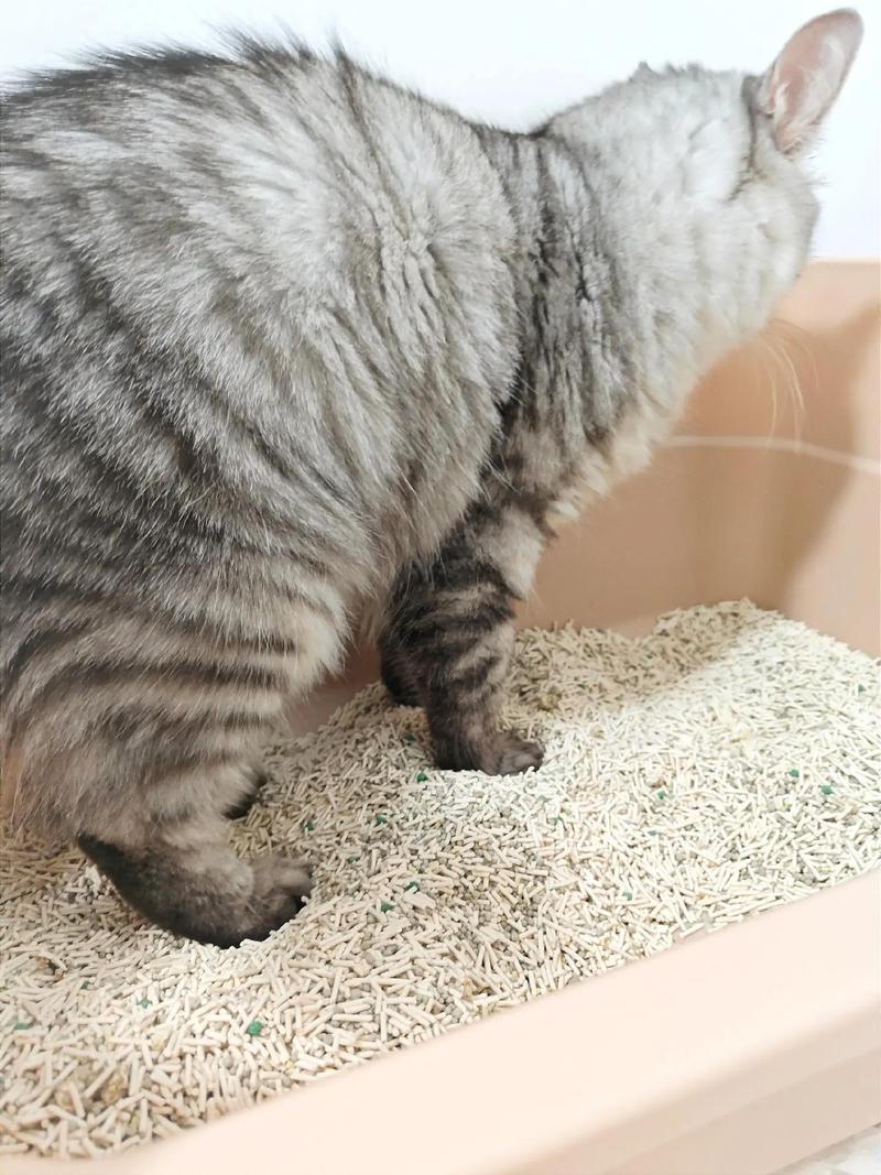 冲一次马桶，赔了十万块！楼上租客这个习惯，把楼下新房全毁了…

北京昌平一栋联排