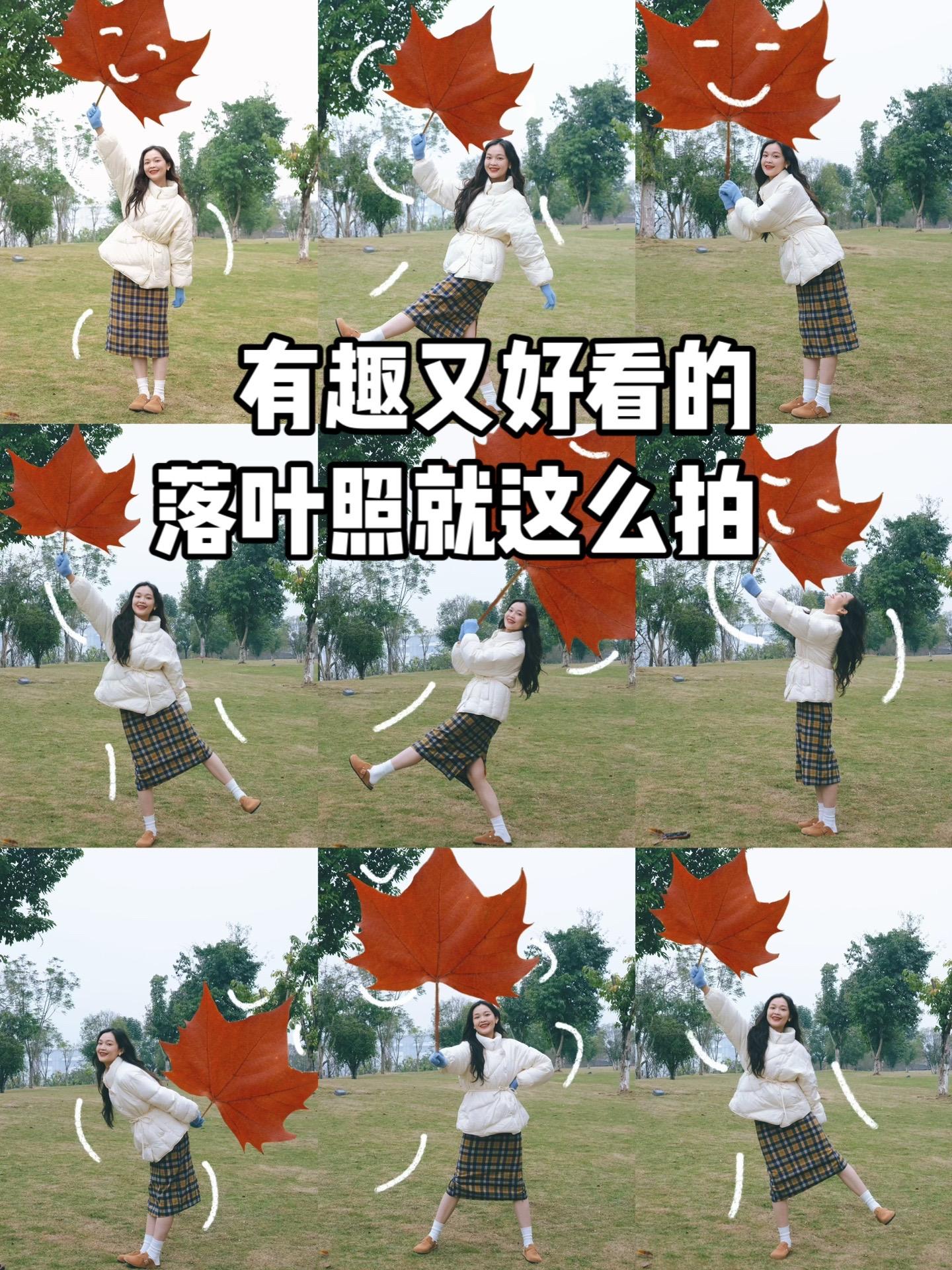 照片p得好，有趣又好看。