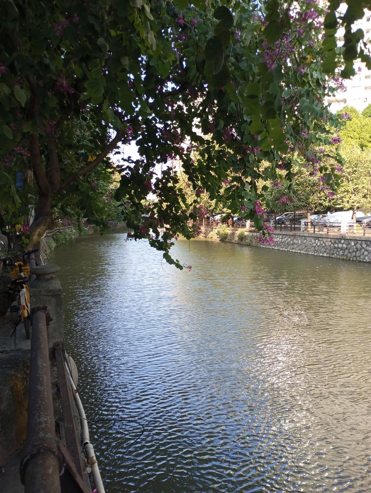 海珠福地，绿美瑶溪
羊城珠涌美如画，醉人美景惹人醉
瑶溪沿岸还有二十四景和十香园