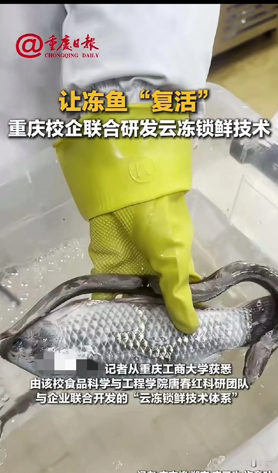 实在想不到被冻住的鱼，
还可以再次活过来，
这真的是太神奇，
重庆校企联合研发的
