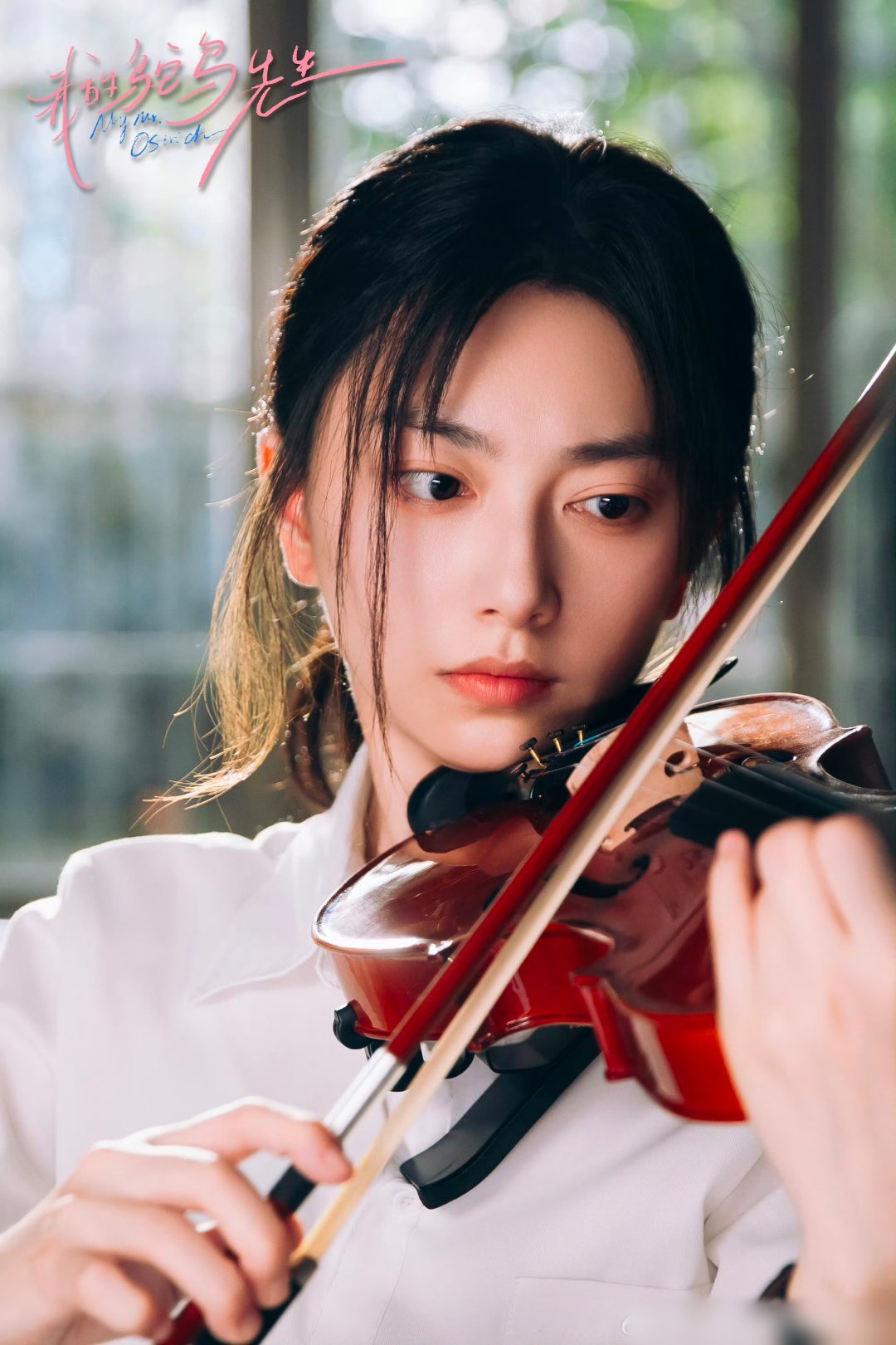 我的鸵鸟先生  更5~6集资源 （先后取）4K臻享 