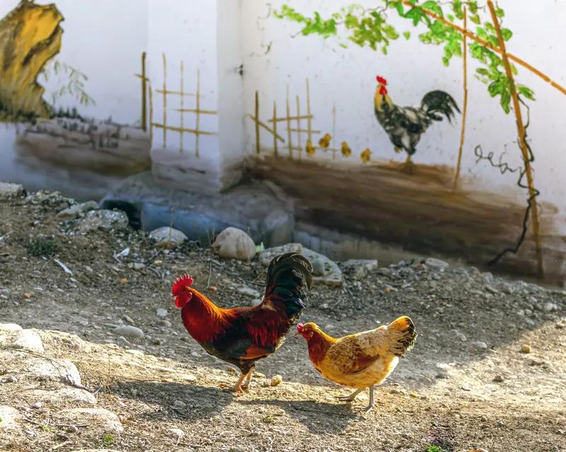 如何看待河南吴营村因墙画爆火
河南商丘闫集镇吴营村因一幅18米长的“天安门”墙画