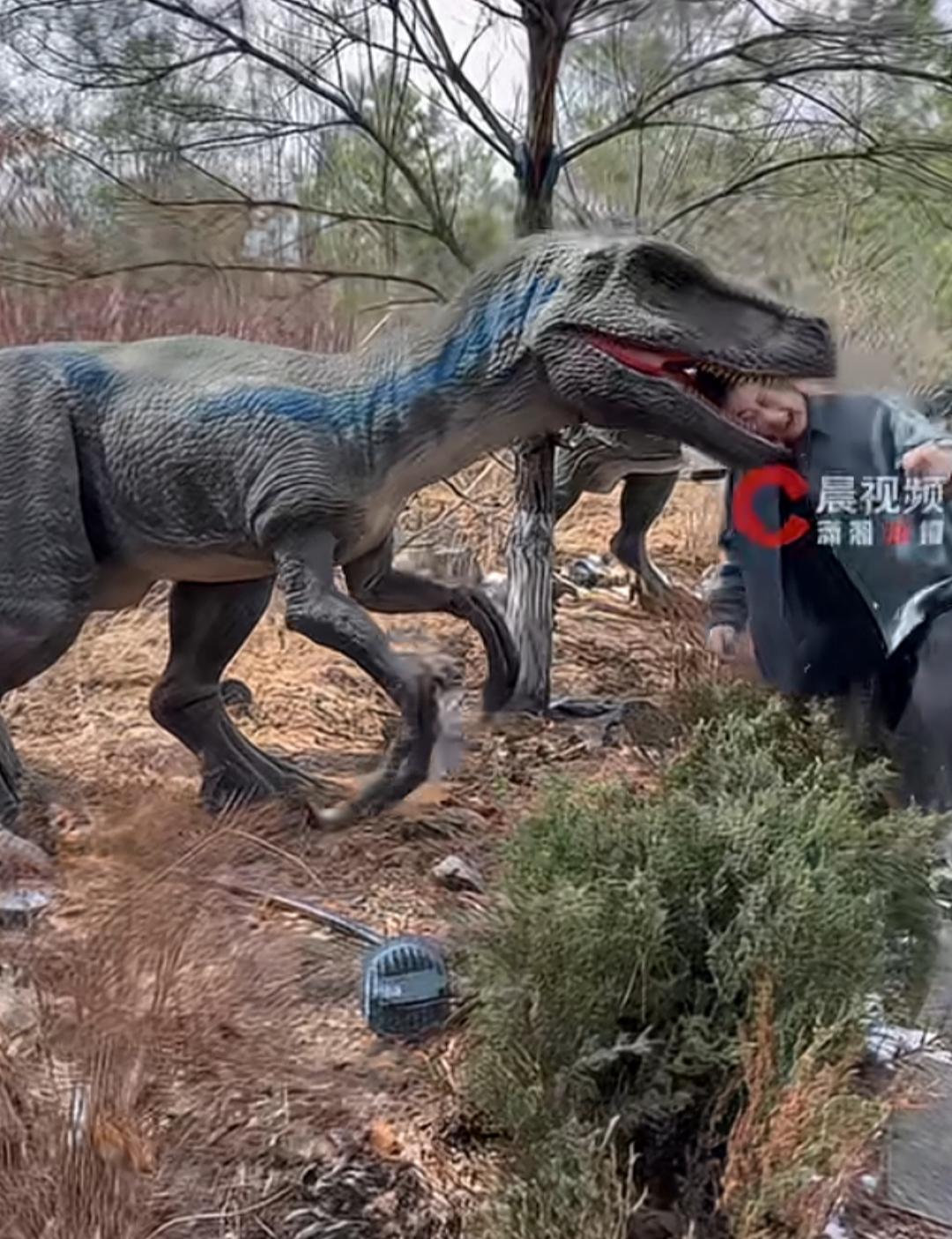 吉林一男子把头伸进恐龙模型的嘴里，被轻微“咬伤”！[震惊][震惊][震惊]真的没