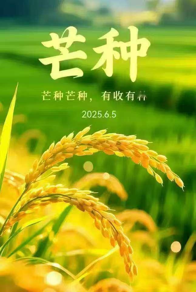 高有鹏：《乙巳芒种》

乙乙之巳
天至芒种
仰望原野
其乐融融
东风万顷
晴空香