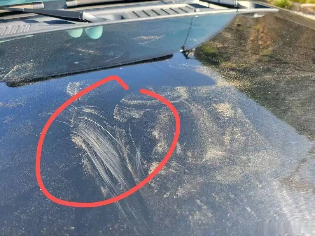 【爱车安全贴士 女童站上别人的车，又蹦又跳致车辆受损？车主：有监控，对方却置之不