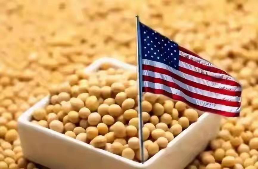 中方点头后，加拿大放开手脚，对特朗普连出3招，将美国列为敌人