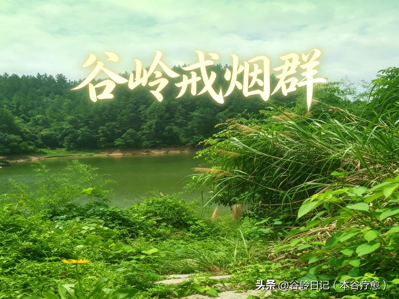 谷岭日记（2026年6月26日·阴）

晚饭后，张老师在茶室回了一条微信语音。对