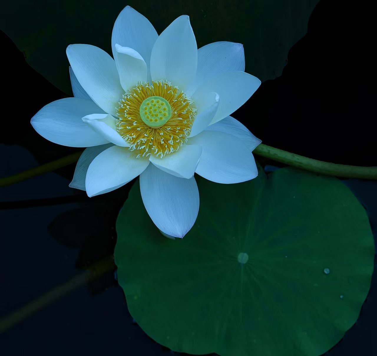 早上好！ ​​​