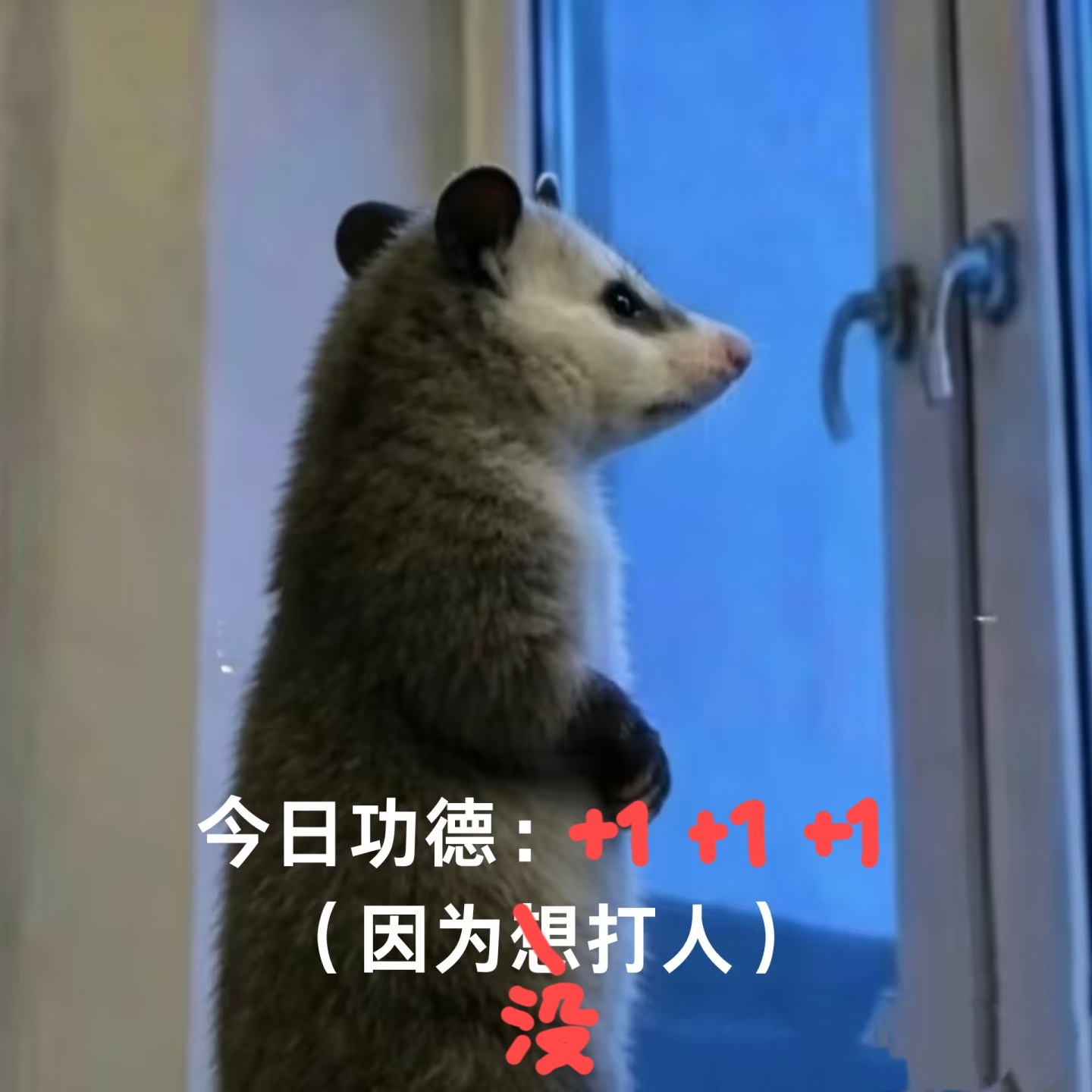 这是第几次前后自相矛盾的、又拆穿了编造的谎言呢？工作人员代麦切错号，要怪到你头上