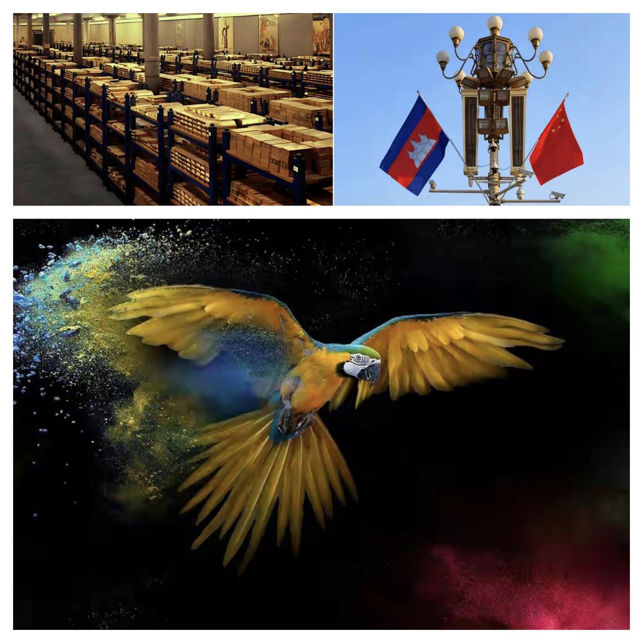 ✨柬埔寨为何把黄金放在中国？✨

☯ 这叫做