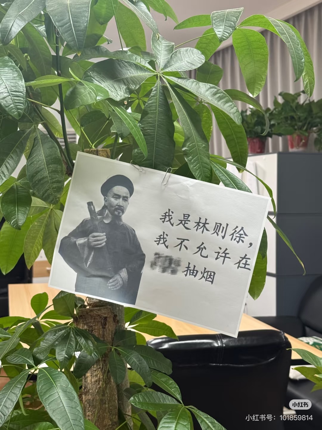 禁烟标语夹在了领导的发财树上谢谢林则徐我的精神状态凉好 ​​​