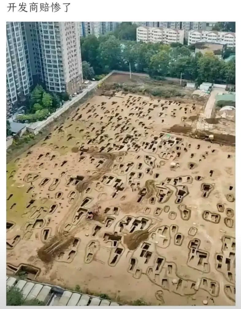 这个楼盘的开发商会赔很多吗？
.