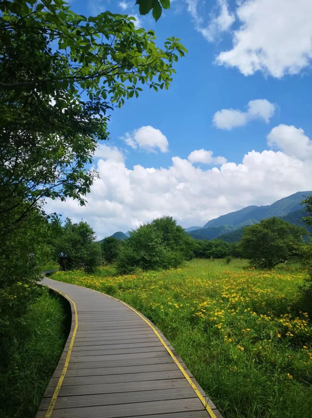 送给所有丈母娘的10个建议:



1、第一个:  只要女儿相中的对象，千万不要