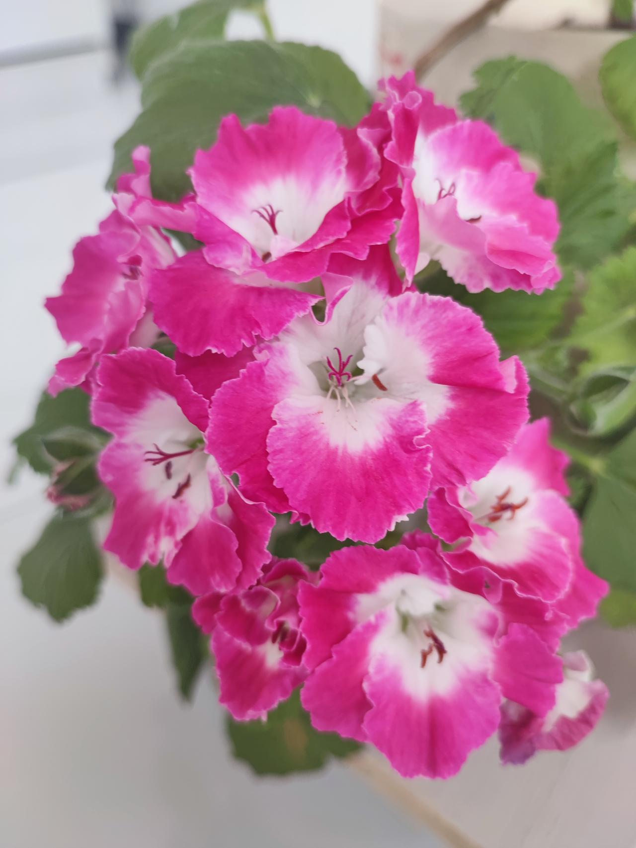 大家都说想开、看淡，
那得分啥事！
都是局外人，
永远不能感同身受！
大家说别人