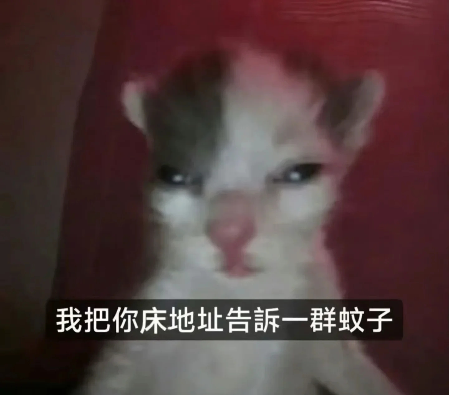 南派三叔我恨你我不知道您怎么了 