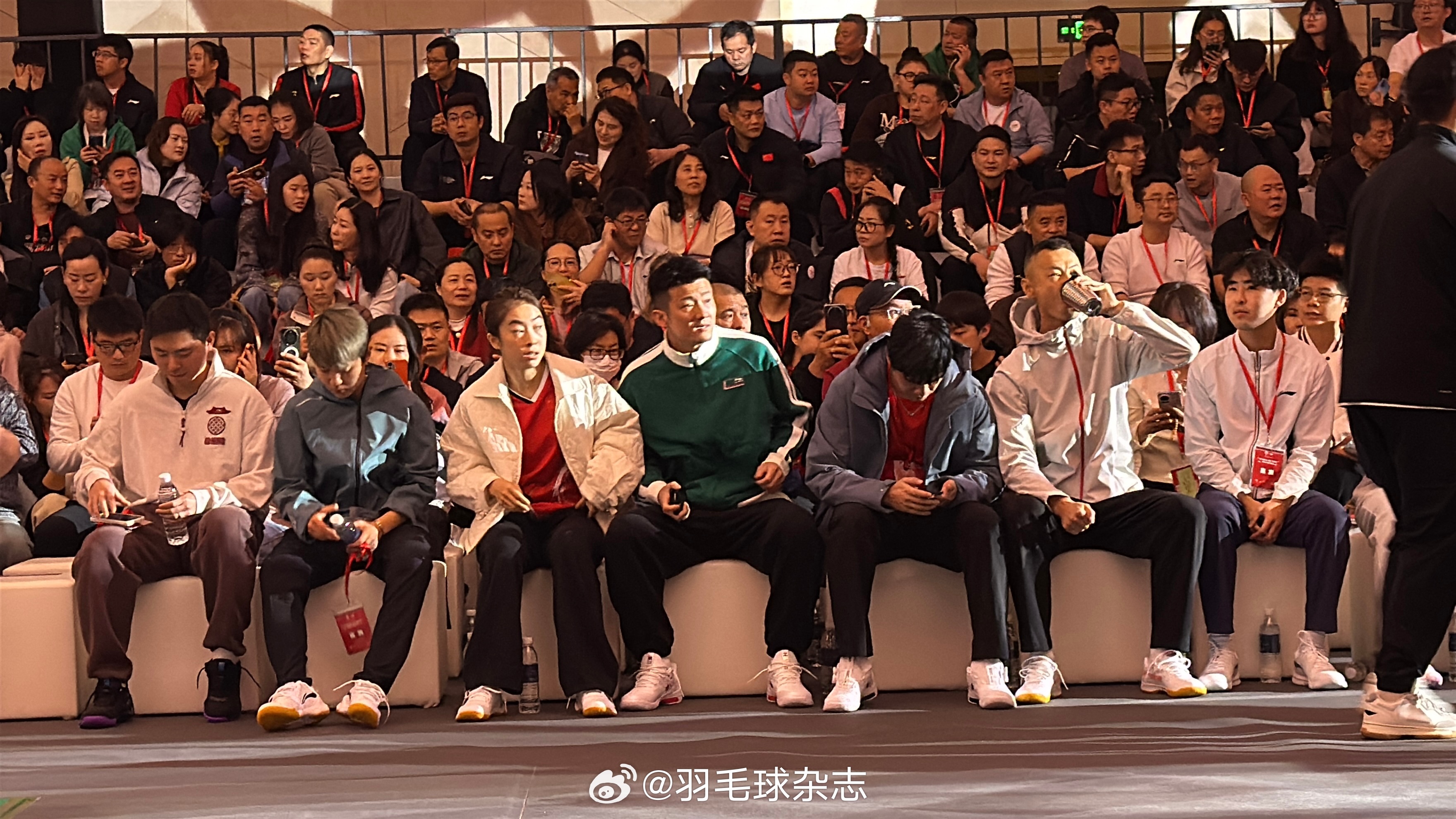 我们已就位世说新羽