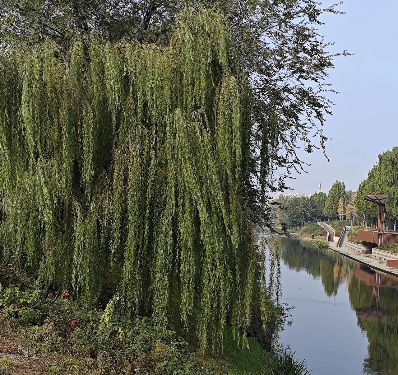 心累时，我偏爱“低消耗治愈”的时光：找个洒满阳光的角落，蜷在沙发上读本轻松的散文