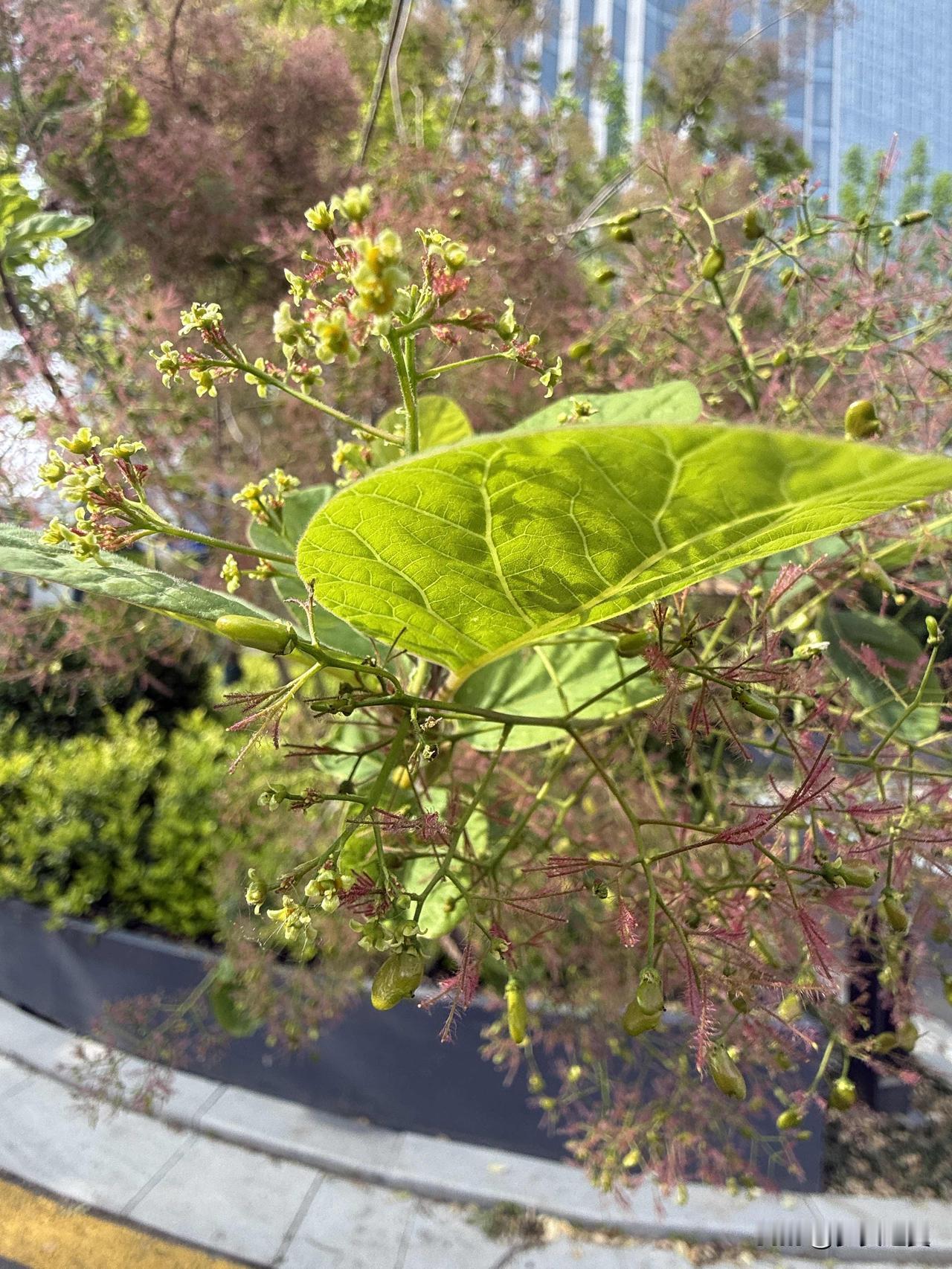 【小对联】
上：……？
下：倾听。