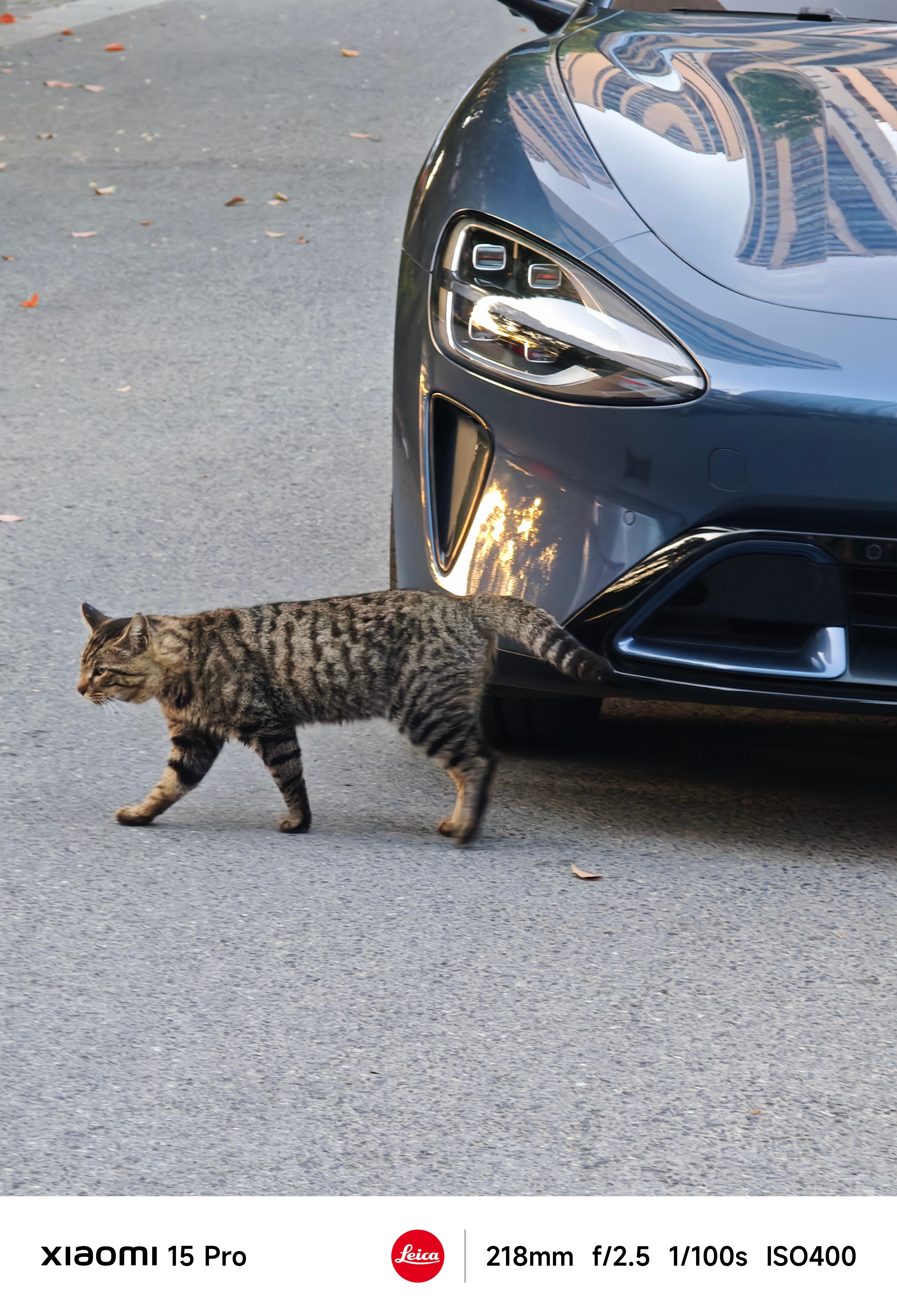 早！哥几个！小米婚车已就位！老头乐向小米汽车致歉