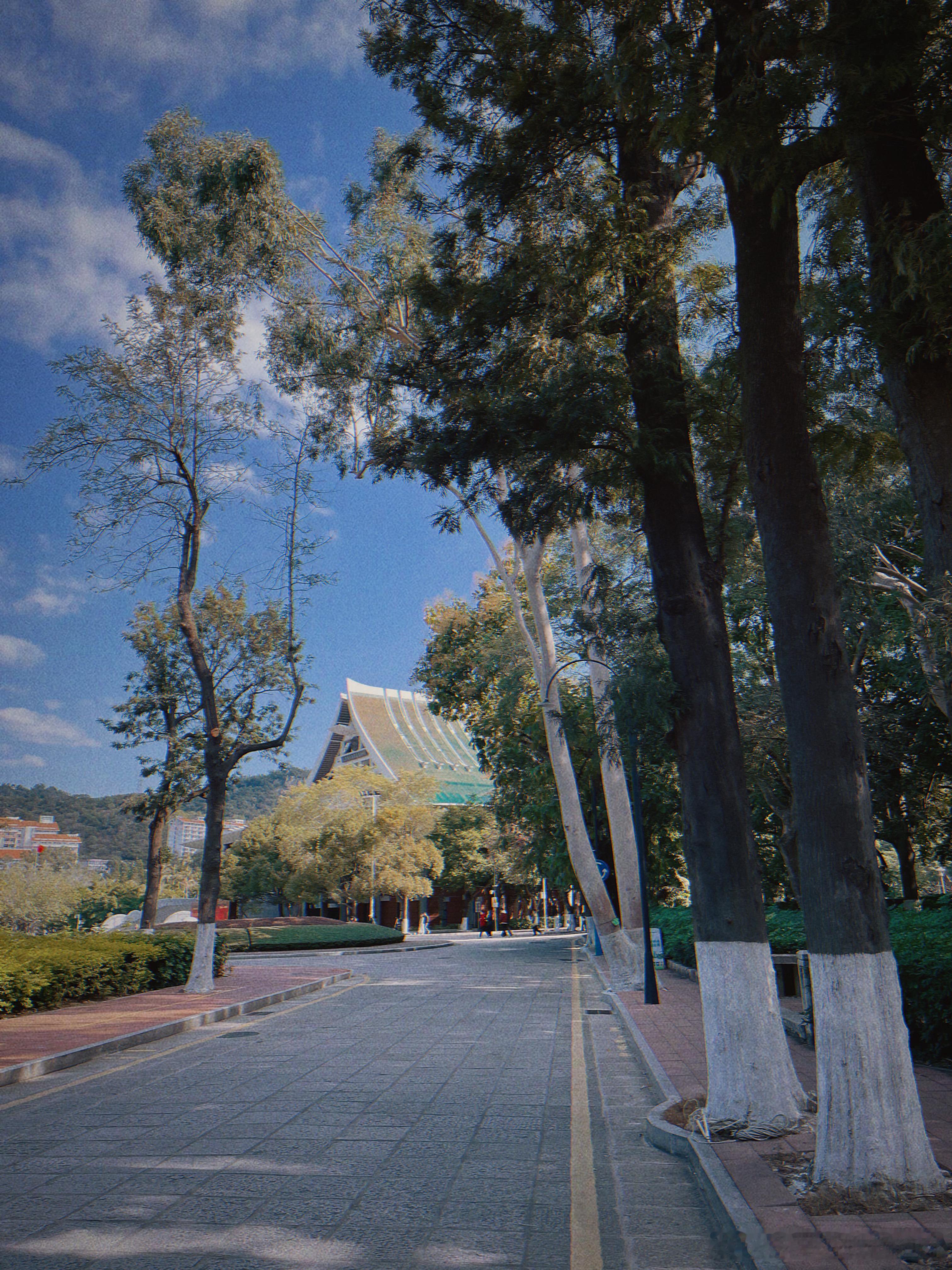 厦门大学逛过了。厦大里有条很长的隧道，估摸有一两公里长？我以为是穿过隧道去校园另