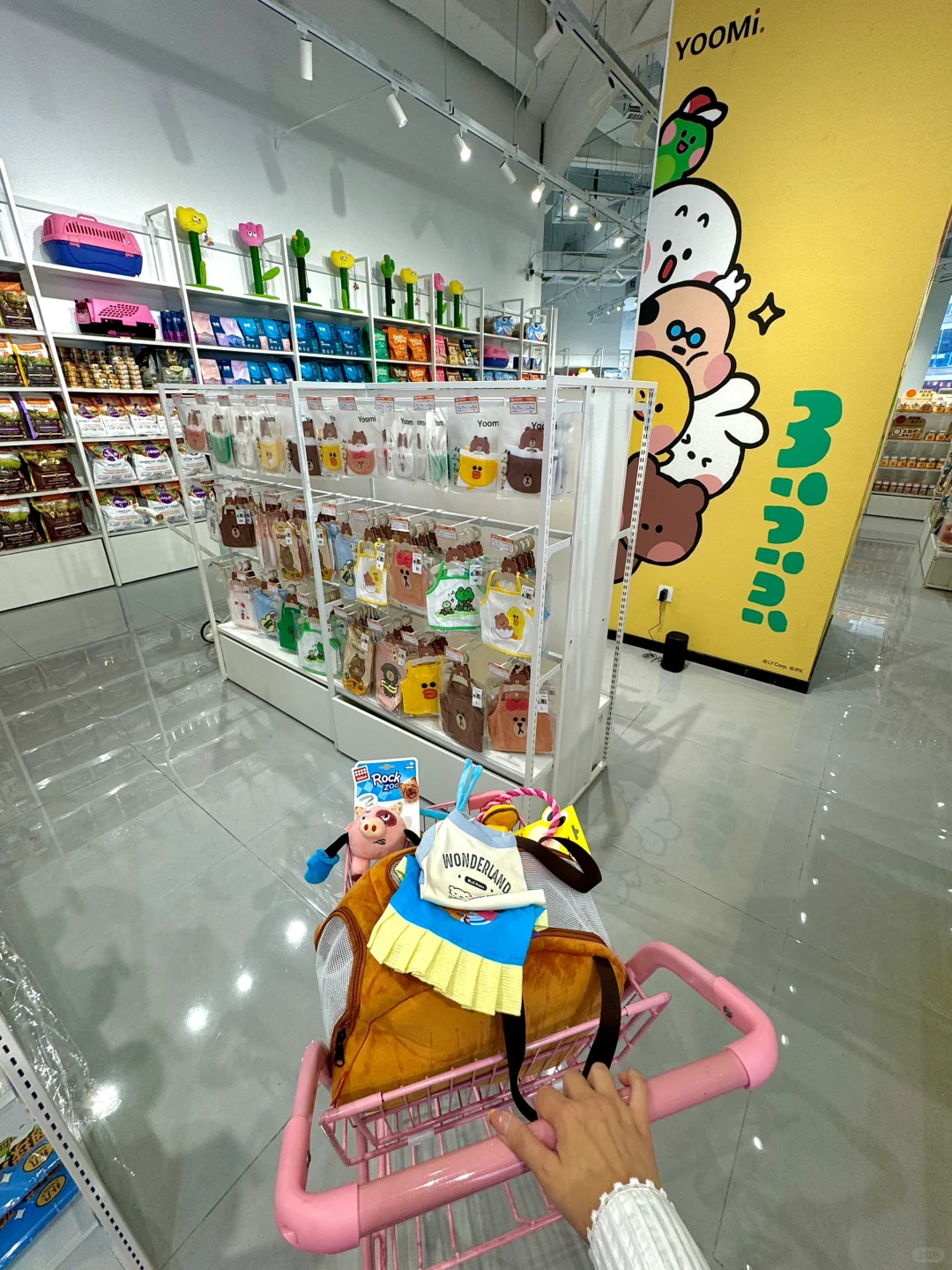 合肥shou家！！超500㎡ ！！根本逛不完🥹