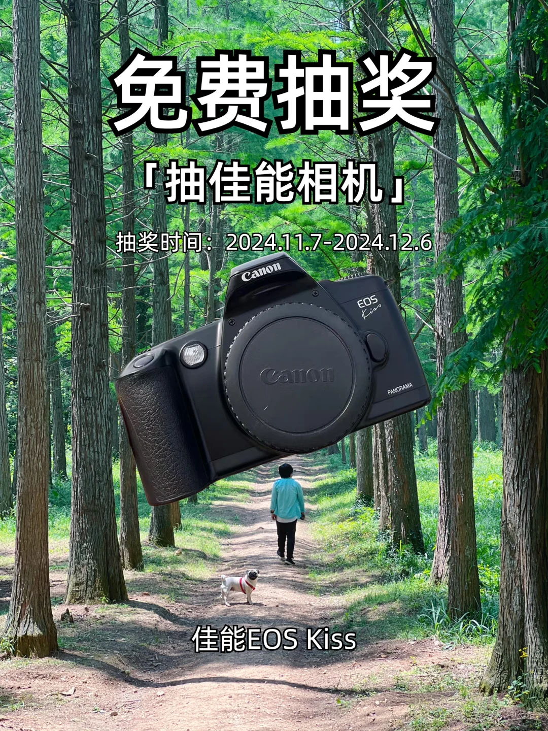 11月宠粉福利|佳能相机免费送粉丝🧧🧧
