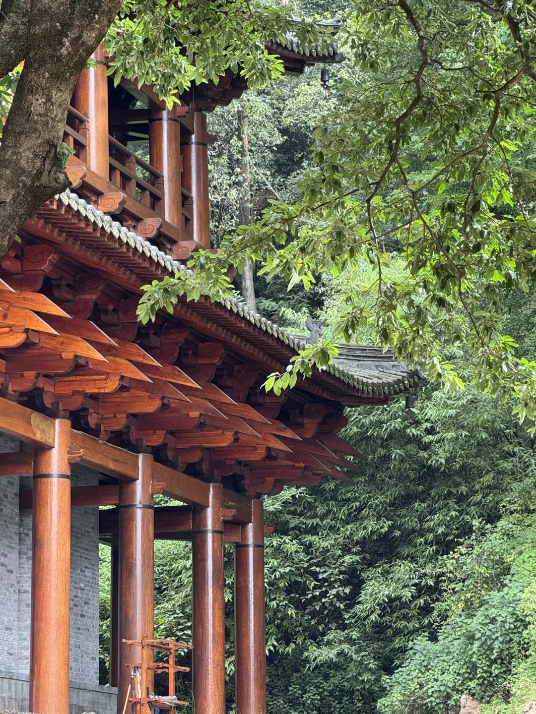 鸡足山宝藏梵境｜华首放光寺