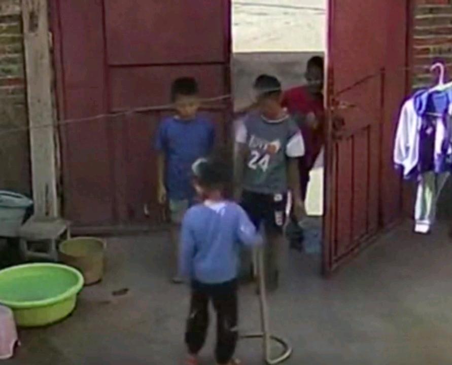 六岁男童将两米长蛇当成鞭子玩耍，爸爸叹气，奶奶追打
云南六岁男孩白先生的儿子喜欢