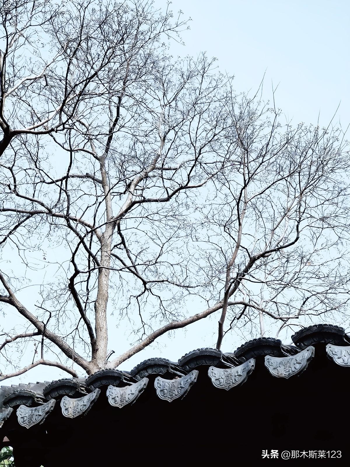 头条邀对
雨润东坡杨柳绿，求下联
上联:雨润东坡杨柳绿(头条)
下联:风涤老舍瓦