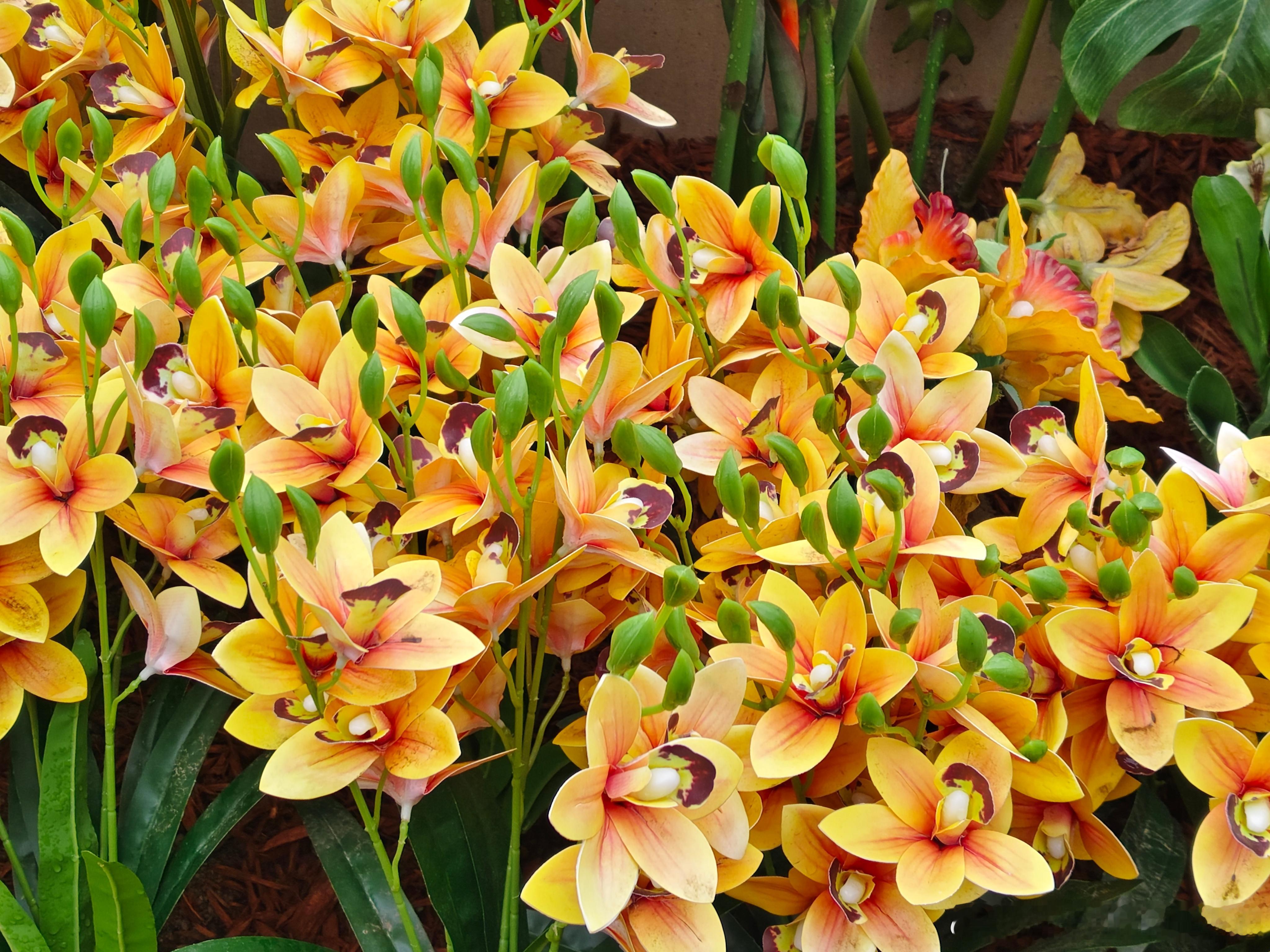 “人生的妙曼风景，是內心的淡定与从容。”        “你之所以痛苦，是因为你