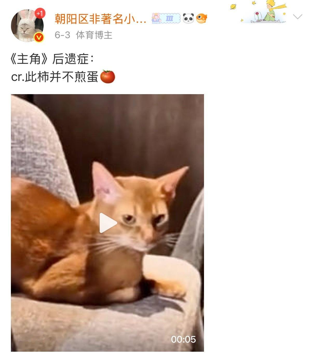 等一下！！！后知后觉米押题命中～ 
