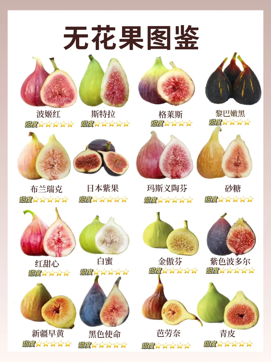 16种无花果！哪一种蕞让你上头🤤