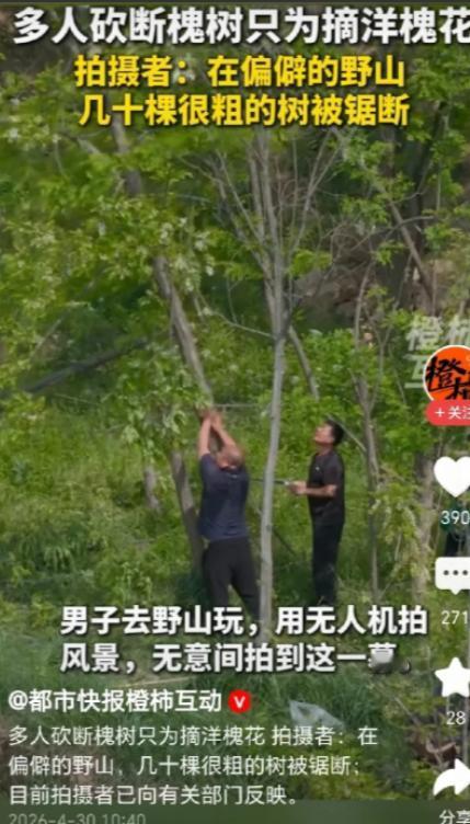 一定要严惩！4 月 30 日杭州网爆料！陕西深山曝出离谱一幕，男子用无人机航拍自