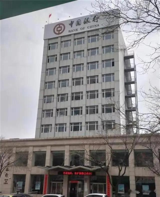 “我的钱究竟去哪了？” 辽宁大连，一女子因投资需要，要去银行取出存下的1310万