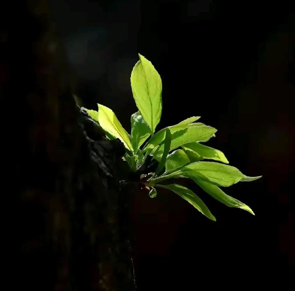 喜欢议论别人的人
容易制造口舌是非。

就是人们说的～
造了口业，没了口德。

