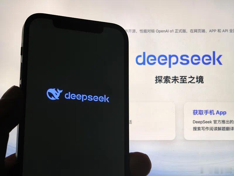 DeepSeek 所有人都在讨论的“DeepSeek”，究竟是啥？DeepSee