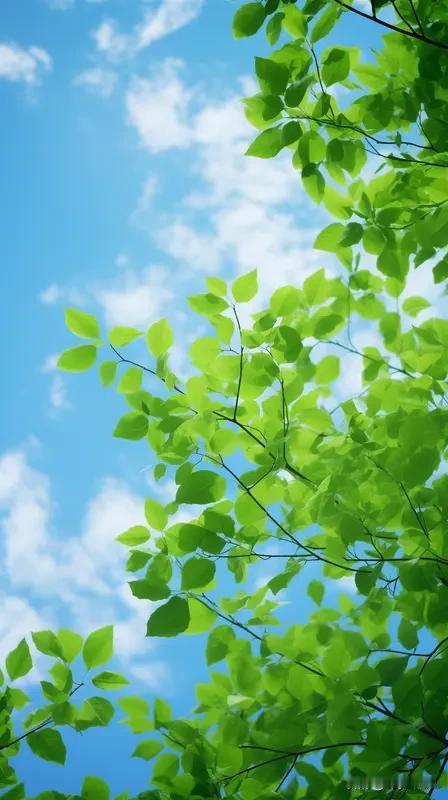 春日生活打卡季 春日生活打卡季
春日，着实是个令人心情欢畅的季节。抬眸便是春日专