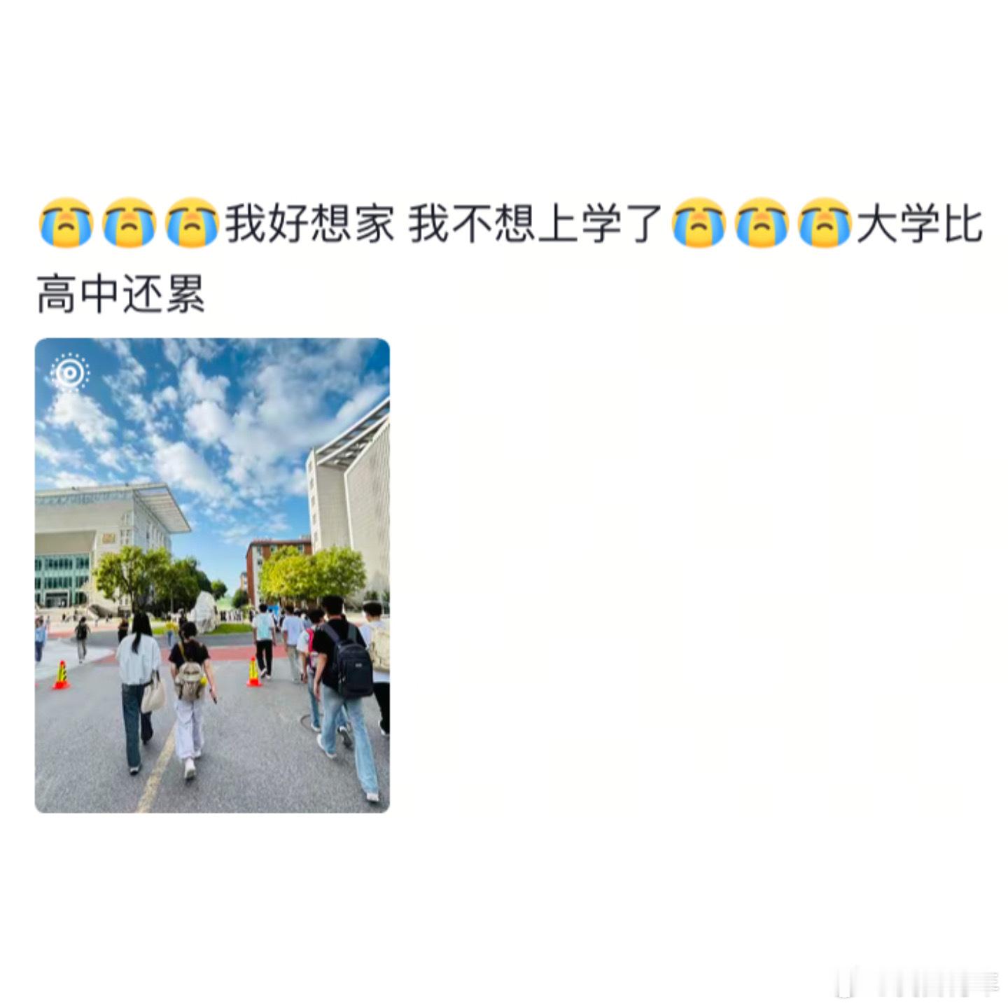 到底谁在说上了大学就轻松了[哆啦A梦害怕] ​​​