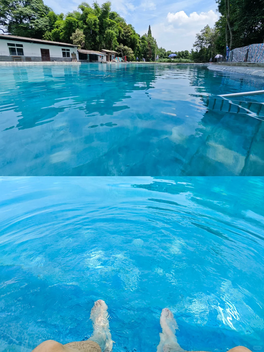成都乡坝头一个巨清澈地下水池耍水，P图是狗