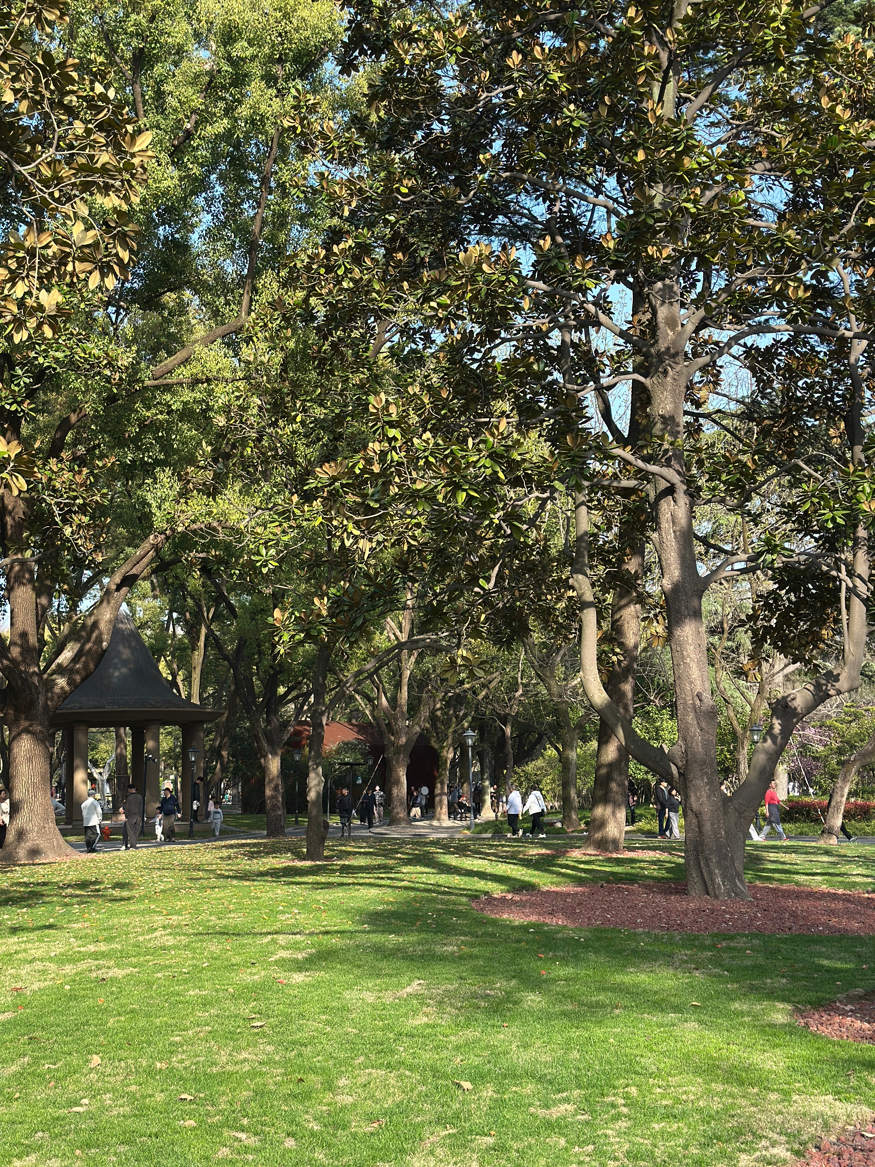 春天多好啊在外面走走可真舒服好多人在外面舒舒服服地走其中有你吗？ 