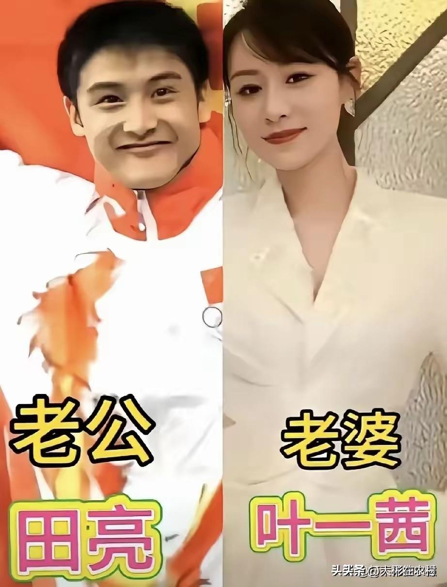 冠军们的伴侣都是谁？你看看都认识谁呢》？