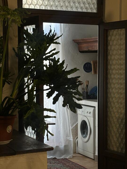 意大利｜来佛罗伦萨请死磕这家民宿