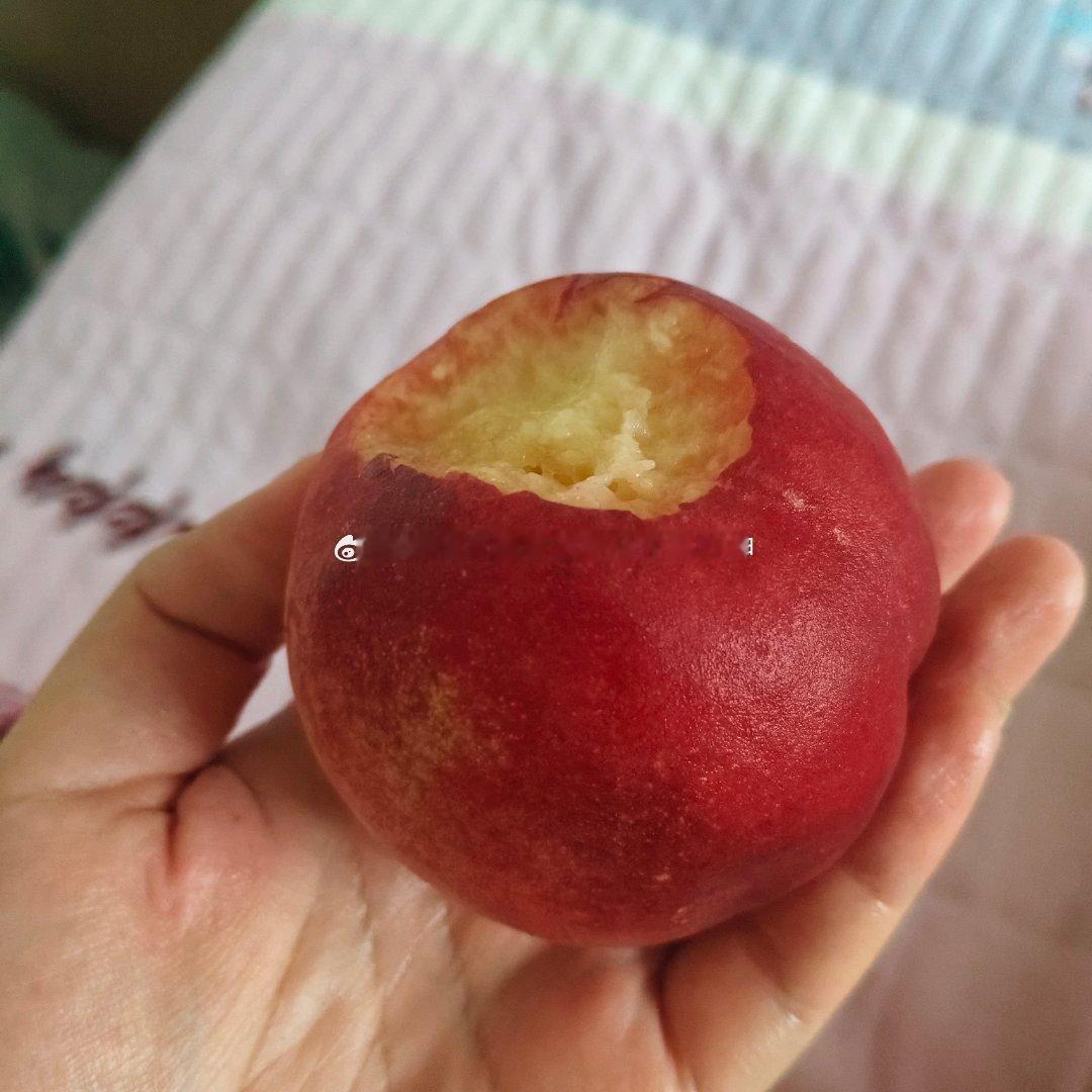 巨甜的🍑 