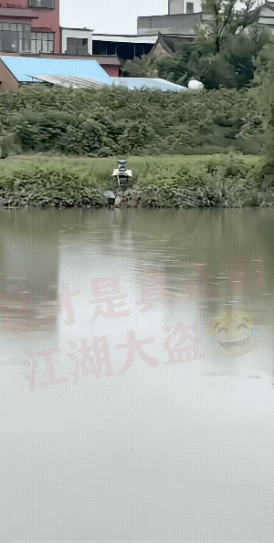 猫:今日干一票大的。
这猫的智商可以，知道那是装鱼的。
它使出了吃奶的力气，它这